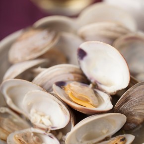 littleneck clams, seafood, dinner, quick dinner, weeknight eating, cooking with wine