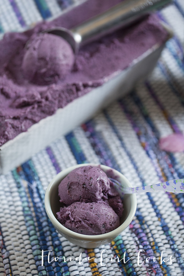 blueberry ice cream, frozen treat, summer